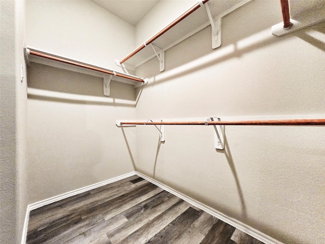 walk in closet featuring wood finished floors