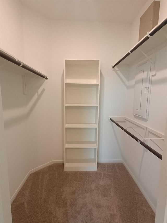 12367 Sterling Oak, Humble, TX 77044 - spacious closet featuring carpet flooring and electric panel