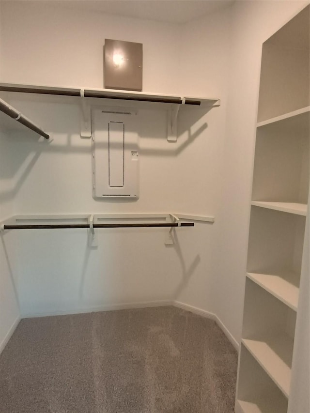 12367 Sterling Oak, Humble, TX 77044 - walk in closet featuring carpet floors and electric panel