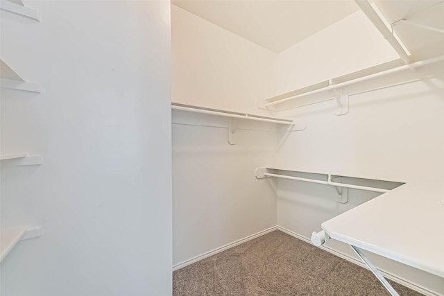walk in closet with carpet flooring