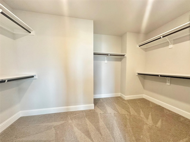 452 Long Beach Bay Dr, Katy, TX 77493 - walk in closet featuring carpet floors