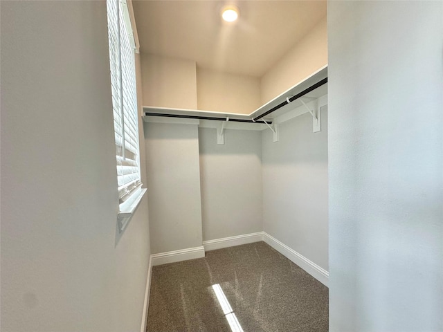 452 Long Beach Bay Dr, Katy, TX 77493 - spacious closet featuring carpet