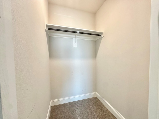 452 Long Beach Bay Dr, Katy, TX 77493 - walk in closet with carpet flooring