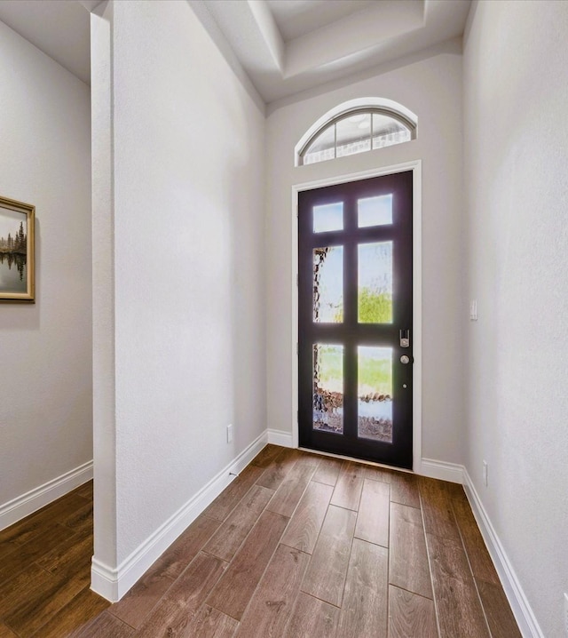 entrance foyer with baseboards and wood finished floors