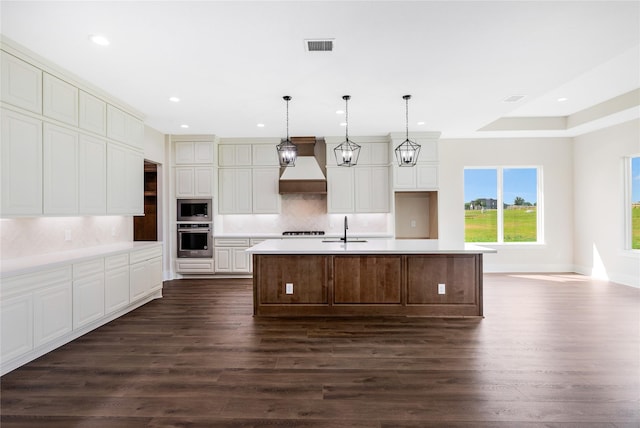 kitchen featuring dark wood finished floors, a sink, stainless steel appliances, and custom range hood