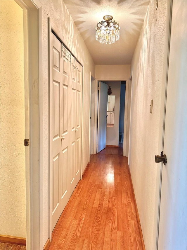 hall featuring light wood-style floors