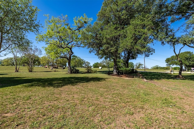 5233 N US Highway 183, Gonzales, TX 78629 - view of yard