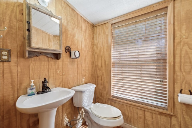5233 N US Highway 183, Gonzales, TX 78629 - half bathroom featuring toilet, wood walls, and a sink