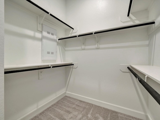 walk in closet featuring light carpet