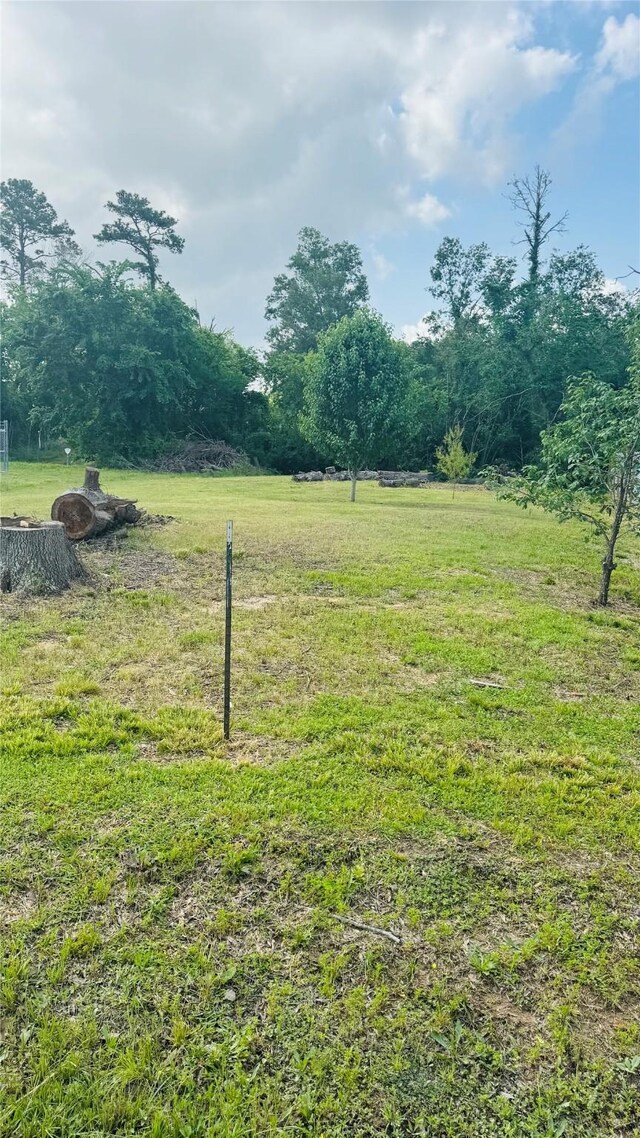 12806 Flagstaff Ln, Houston, TX 77049 - photo 9