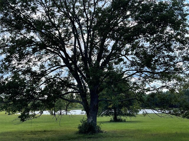 15357 Forest Grove Dr, Willis, TX 77378