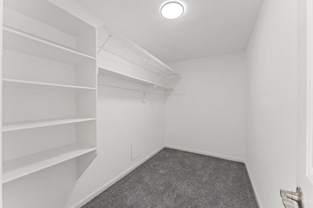 15306 Goodman St, Houston, TX 77084 - walk in closet featuring dark colored carpet