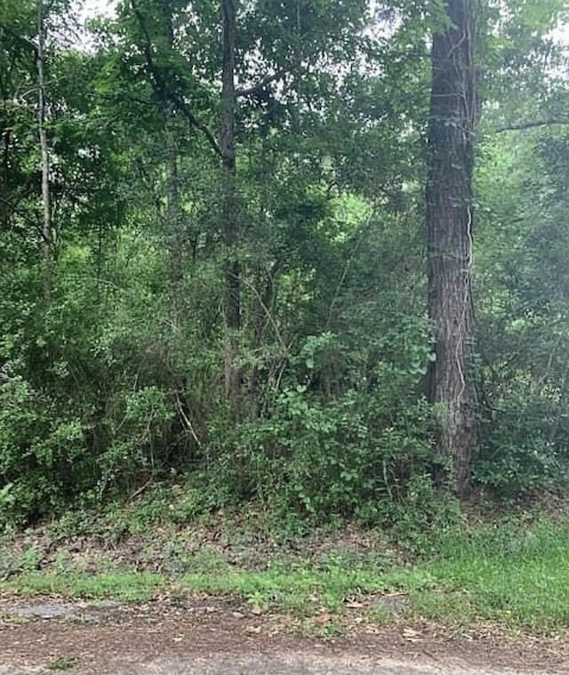 1307 County Road 3479j, Cleveland, TX 77327