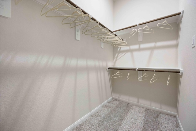 16833 Needlepoint Dr, Conroe, TX 77302 - walk in closet with carpet
