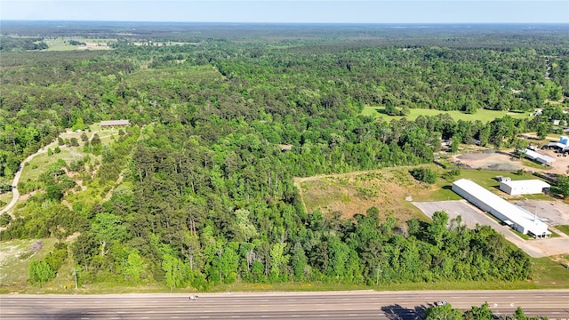 TBD Highway 69, Woodville, TX 75979