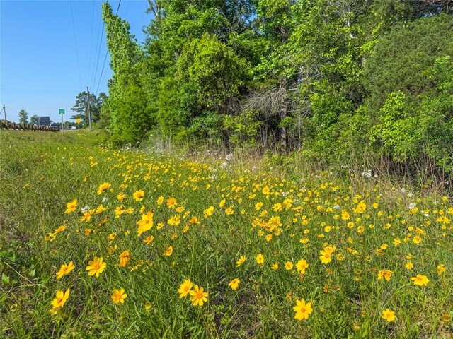 TBD Highway 69, Woodville, TX 75979