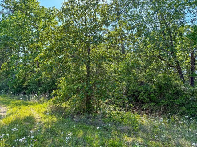 TBD Highway 69, Woodville, TX 75979