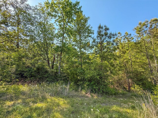 TBD Highway 69, Woodville, TX 75979