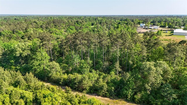 TBD Highway 69, Woodville, TX 75979