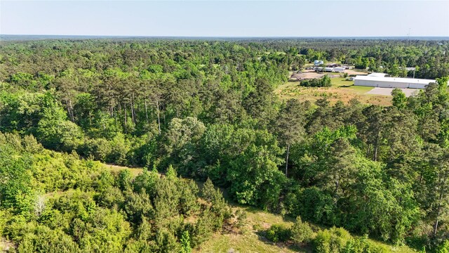 TBD Highway 69, Woodville, TX 75979