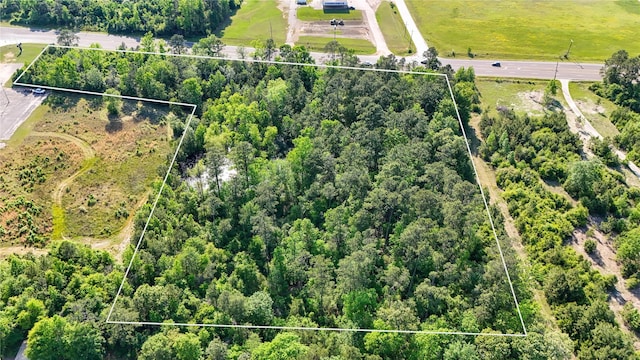 TBD Highway 69, Woodville, TX 75979