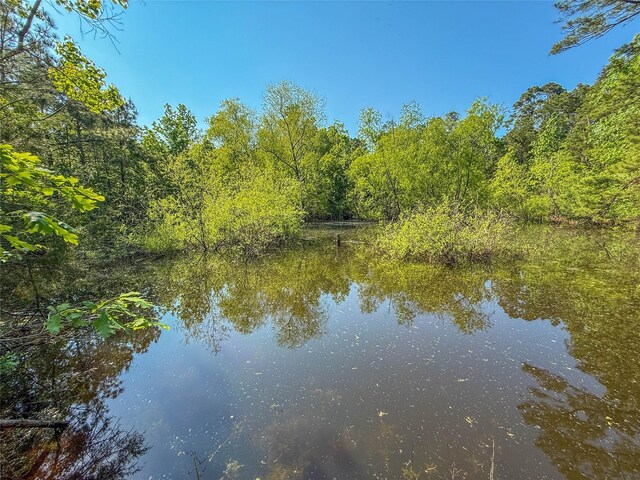 TBD Highway 69, Woodville, TX 75979