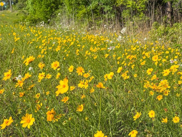 TBD Highway 69, Woodville, TX 75979
