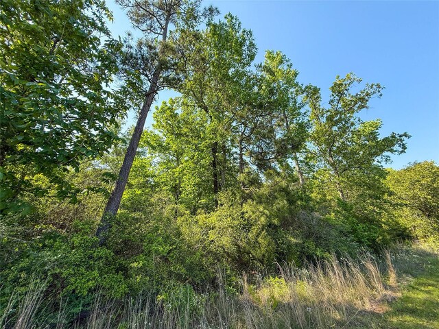 TBD Highway 69, Woodville, TX 75979