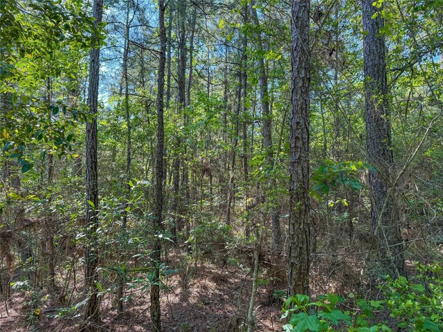 TBD Highway 69, Woodville, TX 75979