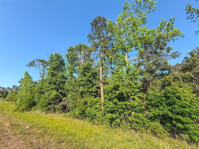 TBD Highway 69, Woodville, TX 75979