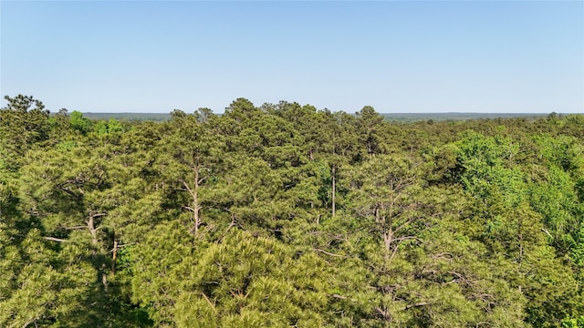 TBD Highway 69, Woodville, TX 75979