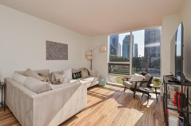 living room with wood finished floors