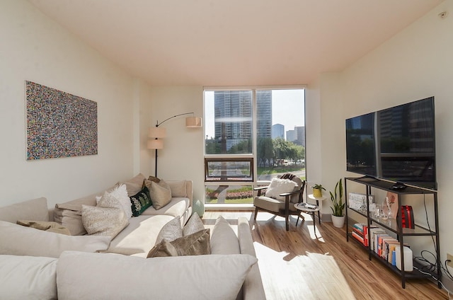 living room featuring expansive windows and wood finished floors