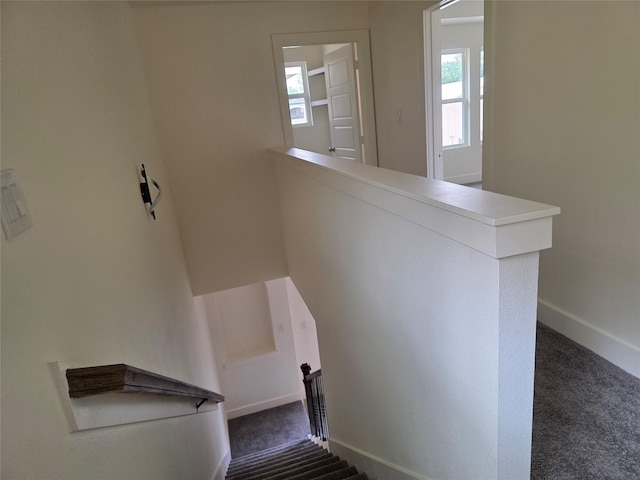 2140 De Soto St, Houston, TX 77091 - stairs with baseboards and carpet floors