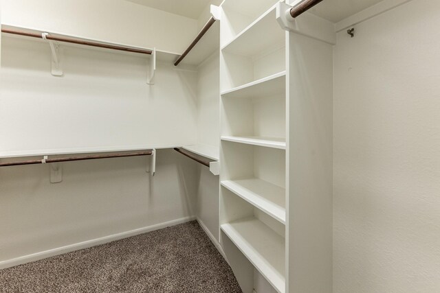 3713 Daisy Ln, Huntsville, TX 77340 - walk in closet featuring carpet