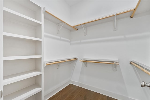 walk in closet featuring dark wood-style floors