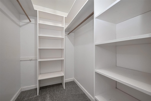 spacious closet featuring carpet floors