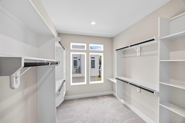861 Prosper St, Houston, TX 77088 - spacious closet with light carpet