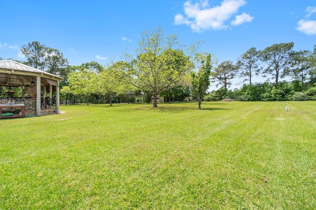 view of yard featuring a ceiling fan