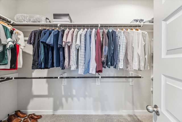view of spacious closet