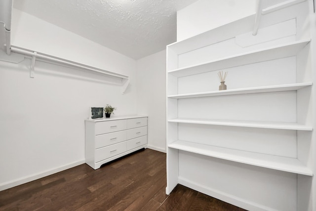 walk in closet featuring dark wood finished floors