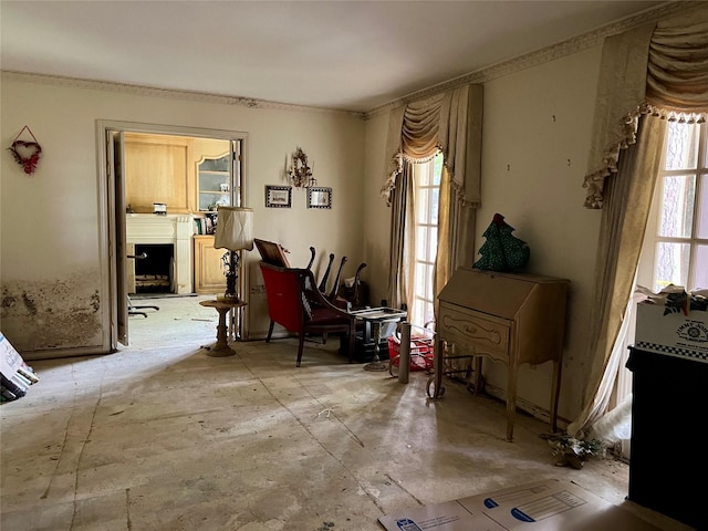 interior space with ornamental molding