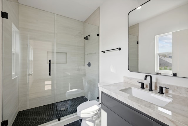 bathroom with a shower stall, toilet, and vanity