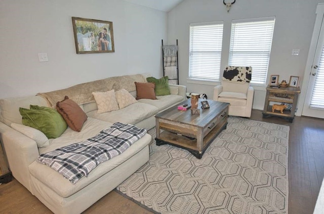 219 Lisa Marie Dr, Angleton, TX 77515 - living area featuring wood finished floors, a healthy amount of sunlight, and lofted ceiling