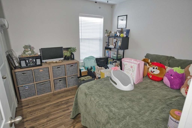 219 Lisa Marie Dr, Angleton, TX 77515 - bedroom with wood finished floors