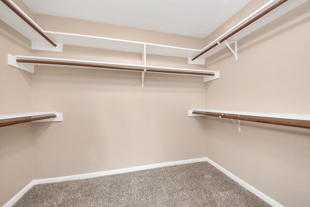 11923 Briar Forest Dr, Houston, TX 77077 - photo 29