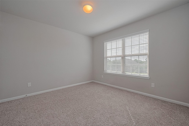 spare room with baseboards and carpet floors