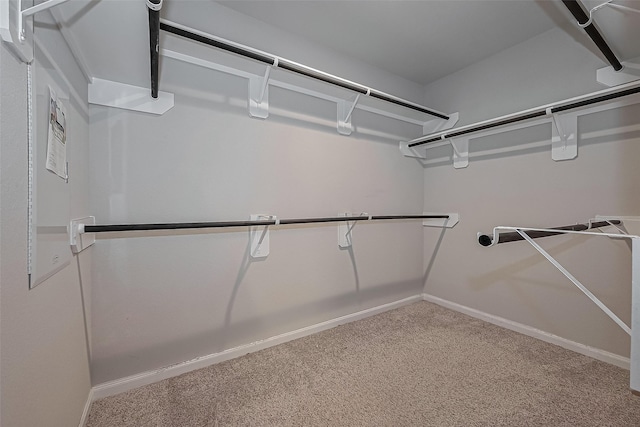 spacious closet featuring carpet floors