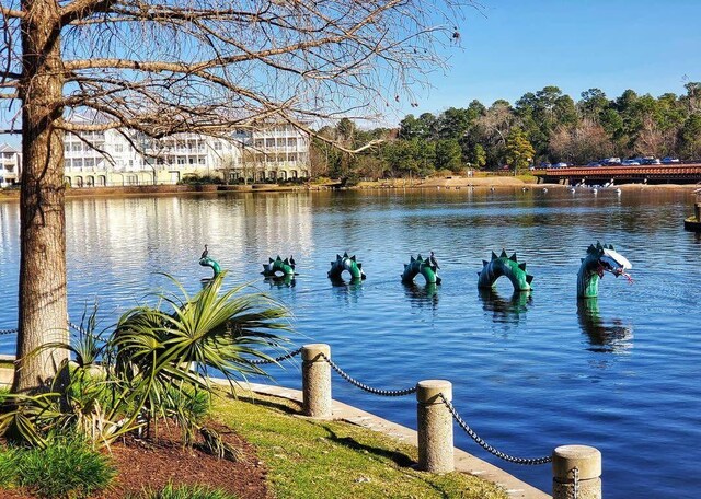 150 N Magnolia Pond Pl, The Woodlands, TX 77381 - water view