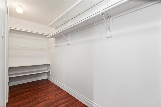 walk in closet featuring wood finished floors